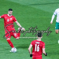 Serbia - Ireland (092)